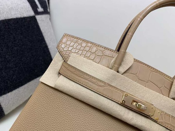 Hermès Birkin 25 Chai Togo with Matte Alligator x Gold Hardware