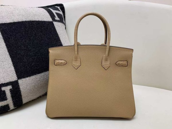 Hermès Birkin 25 Chai Togo with Matte Alligator x Gold Hardware