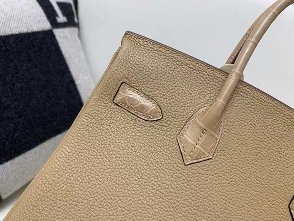 Hermès Birkin 25 Chai Togo with Matte Alligator x Gold Hardware