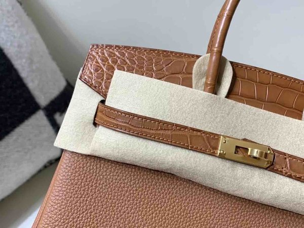 Hermès Birkin 25 Touch Gold Togo & Alligator x Gold Hardware