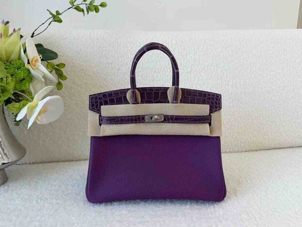 Hermès Birkin 25 Touch Togo Crystal Purple x Alligator x Palladium Hardware