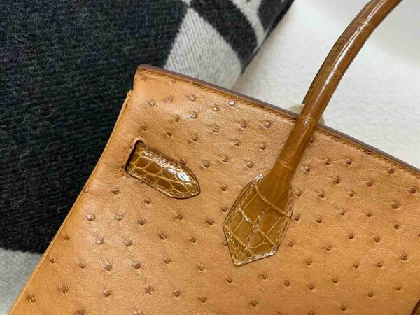 Hermès Birkin 25 Trench Ostrich x Gold Hardware