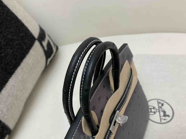 Hermès Birkin 25 Ostrich Agate Grey & Noir x Palladium Hardware