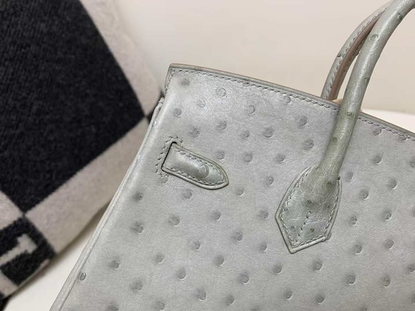 Hermès Birkin 25 Ostrich Gris Perle x Palladium Hardware