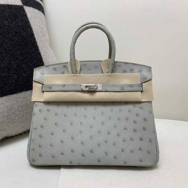 Hermès Birkin 25 Ostrich Gris Perle x Palladium Hardware