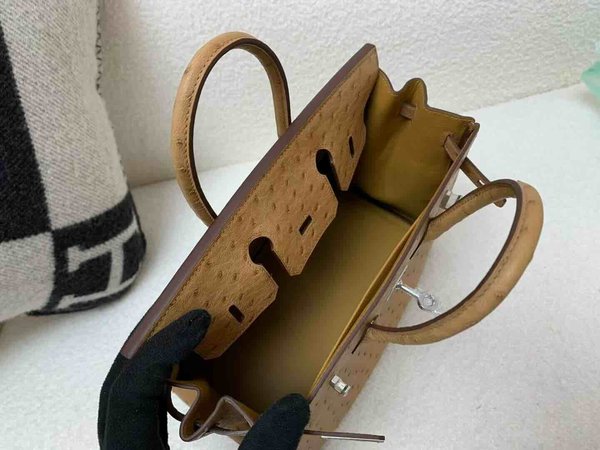 Hermès Birkin 25 Ostrich Gold x Palladium Hardware