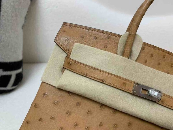 Hermès Birkin 25 Ostrich Gold x Palladium Hardware