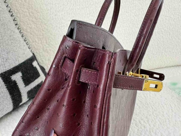 Hermès Birkin 25 Ostrich Gold x Gold Hardware