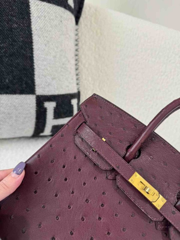 Hermès Birkin 25 Ostrich Gold x Gold Hardware