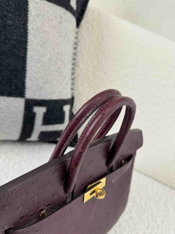 Hermès Birkin 25 Ostrich Gold x Gold Hardware