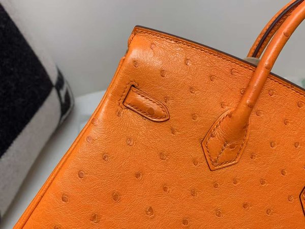 Hermès Birkin 25 Ostrich Orange x Palladium Hardware