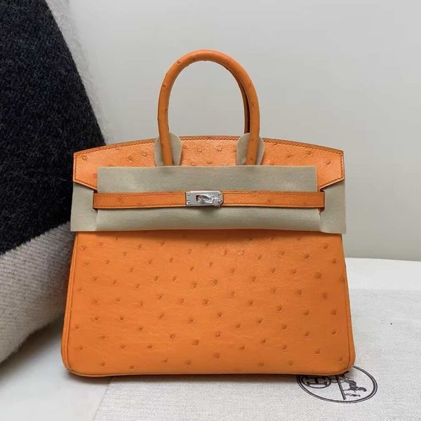 Hermès Birkin 25 Ostrich Orange x Palladium Hardware