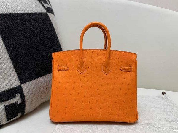 Hermès Birkin 25 Ostrich Orange x Palladium Hardware