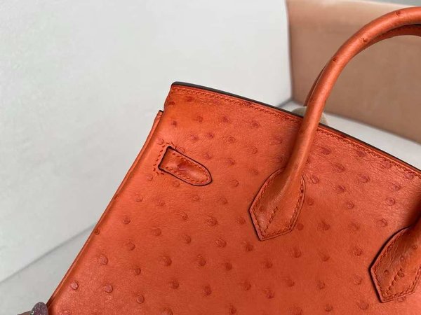 Hermès Birkin 25 Ostrich Feu x Gold Hardware