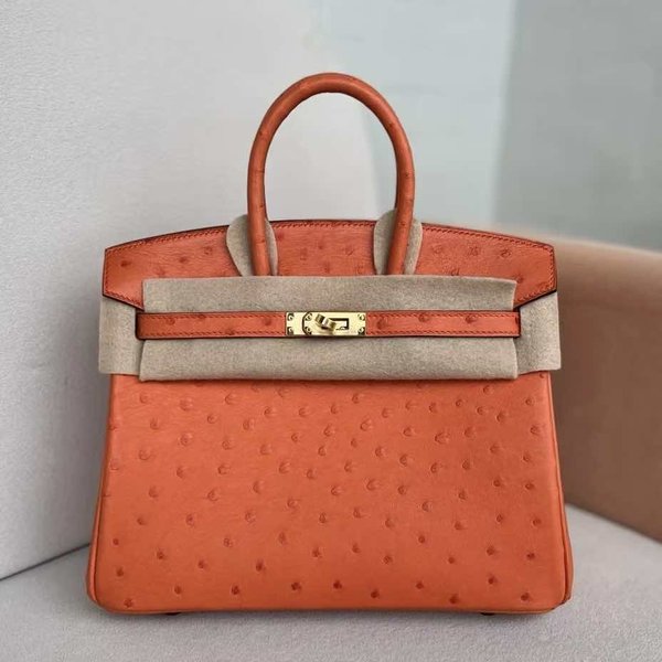 Hermès Birkin 25 Ostrich Feu x Gold Hardware