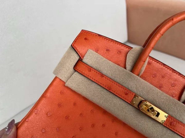 Hermès Birkin 25 Ostrich Feu x Gold Hardware