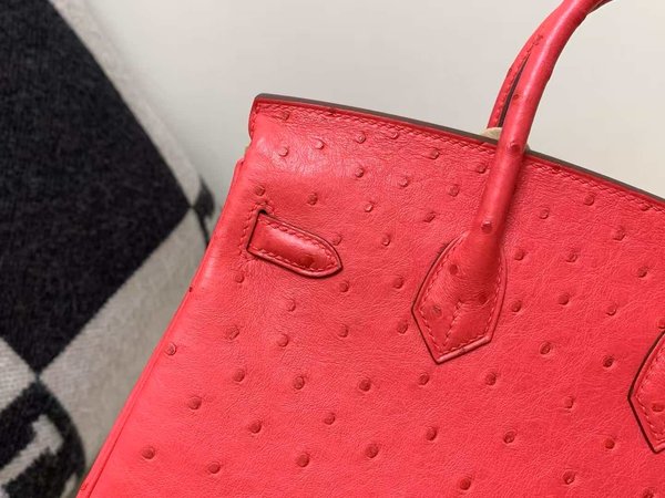 Hermès Birkin 25 Ostrich Rose Jaipur x Palladium Hardware