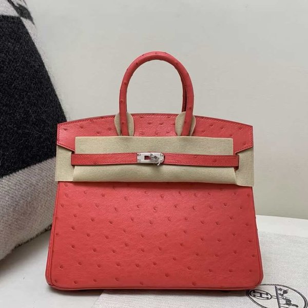 Hermès Birkin 25 Ostrich Rose Jaipur x Palladium Hardware