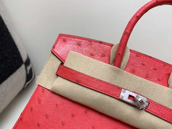 Hermès Birkin 25 Ostrich Rose Jaipur x Palladium Hardware