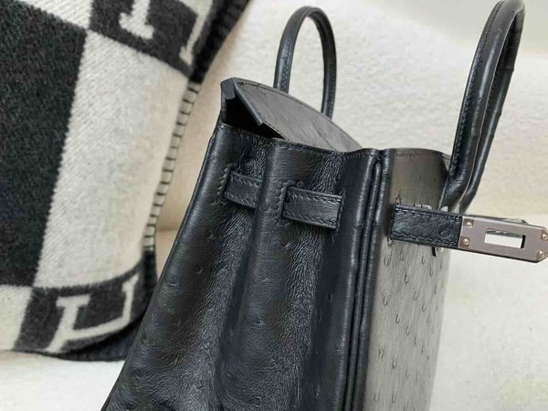 Hermès Birkin 25 Ostrich Noir x Palladium Hardware