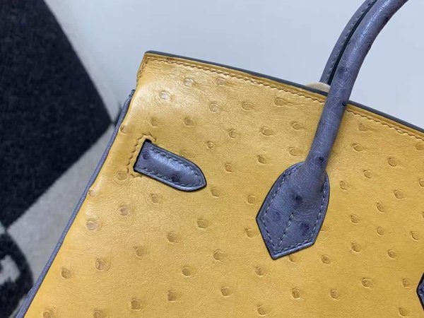 Hermès Birkin 25 Ostrich Curry & Violine x Gold Hardware