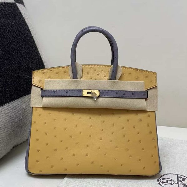Hermès Birkin 25 Ostrich Curry & Violine x Gold Hardware