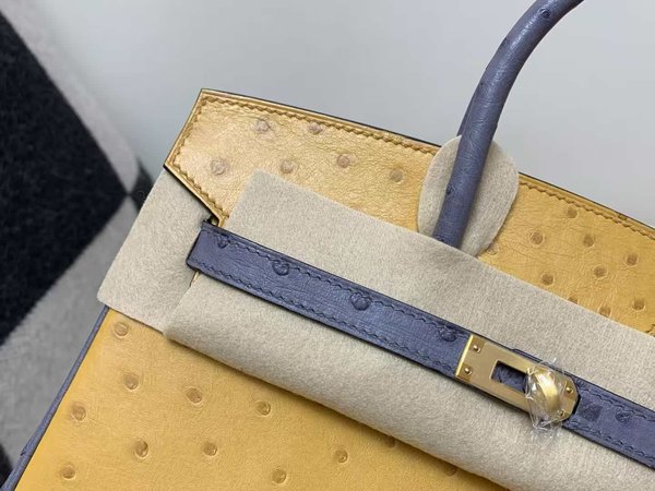 Hermès Birkin 25 Ostrich Curry & Violine x Gold Hardware