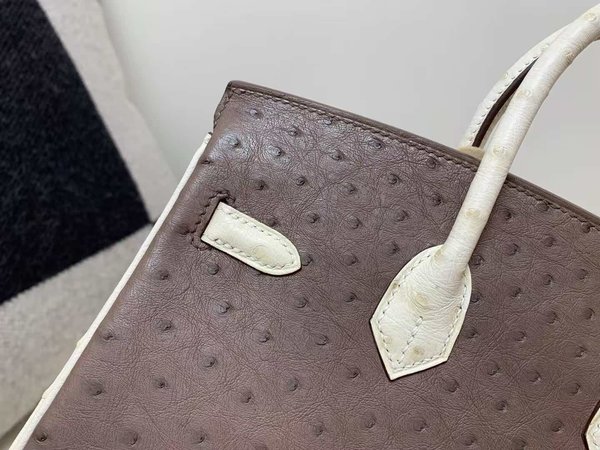 Hermès Birkin 25 Ostrich Moka & Nata x Gold Hardware