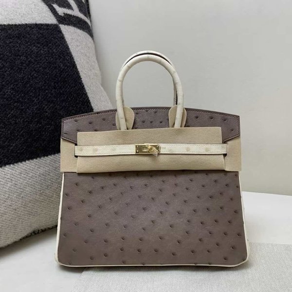 Hermès Birkin 25 Ostrich Moka & Nata x Gold Hardware