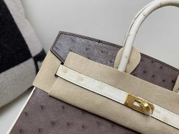 Hermès Birkin 25 Ostrich Moka & Nata x Gold Hardware