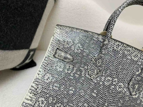 Hermès Birkin25 Lizard Natural 1B x Palladium Hardware