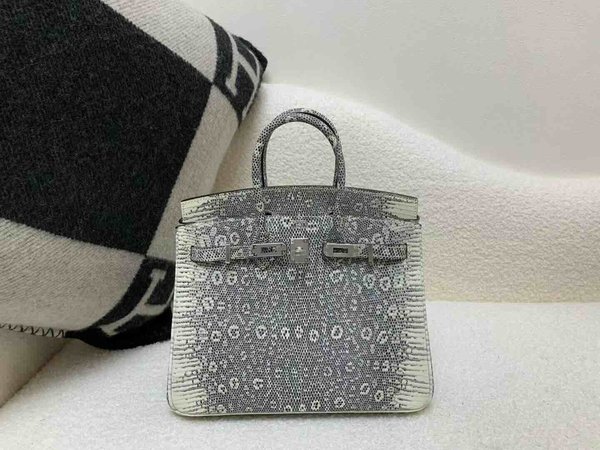 Hermès Birkin25 Lizard Natural 1B x Palladium Hardware
