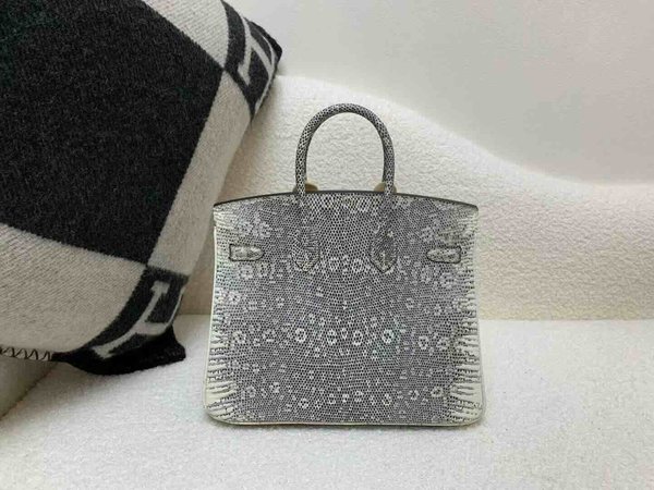 Hermès Birkin25 Lizard Natural 1B x Palladium Hardware