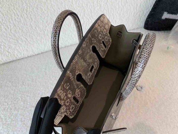 Hermès Birkin 25 Lizard Snow White x Palladium Hardware