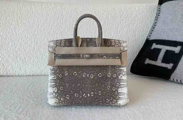 Hermès Birkin 25 Lizard Snow White x Palladium Hardware