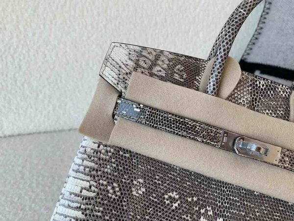 Hermès Birkin 25 Lizard Snow White x Palladium Hardware