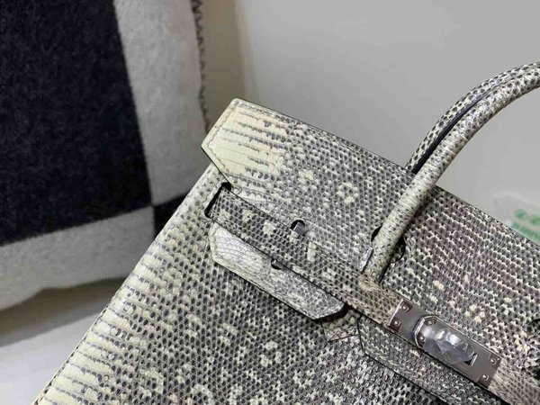 Hermès Birkin25 Lizard Snow White x Palladium Hardware