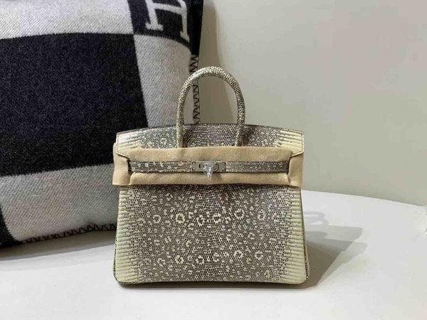 Hermès Birkin25 Lizard Snow White x Palladium Hardware