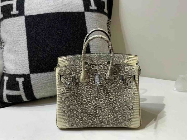 Hermès Birkin25 Lizard Snow White x Palladium Hardware