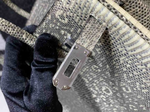 Hermès Birkin25 Lizard Snow White x Palladium Hardware