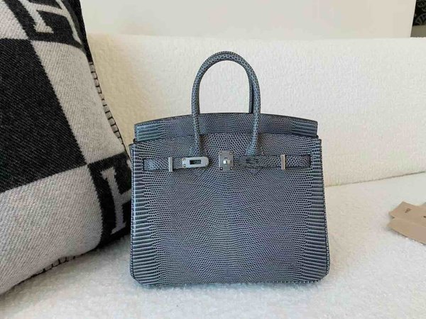Hermès Birkin 25 Lizard Gris Mouette x Palladium Hardware