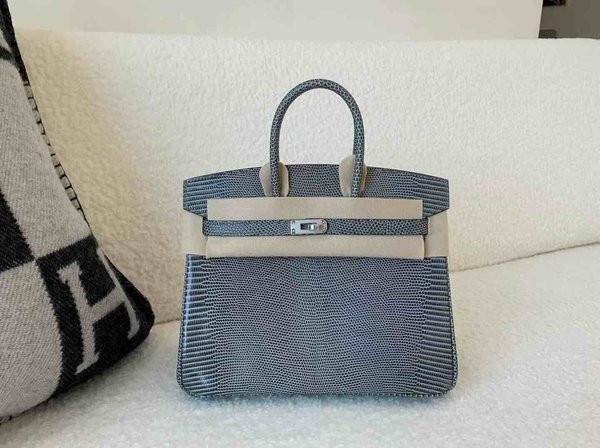 Hermès Birkin 25 Lizard Gris Mouette x Palladium Hardware
