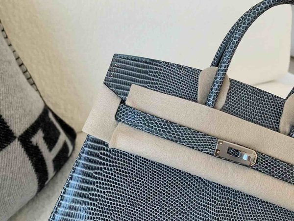 Hermès Birkin 25 Lizard Gris Mouette x Palladium Hardware