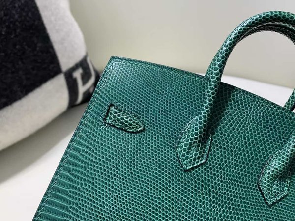 Hermès Birkin 25 Lizard Vert Cyprès x Gold Hardware