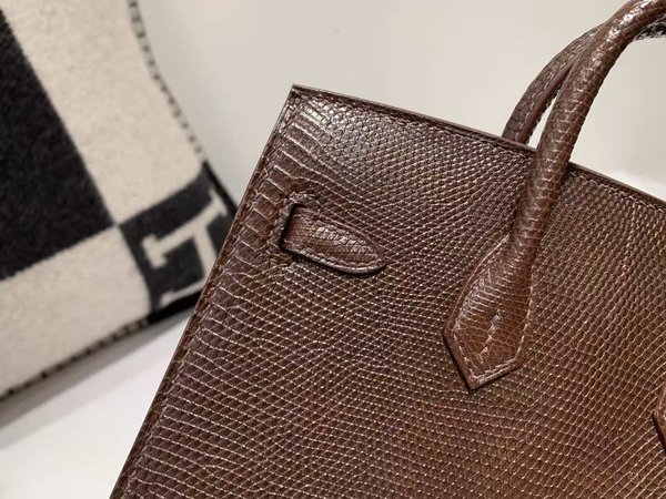 Hermès Birkin 20 Lizard Chocolate x Gold Hardware