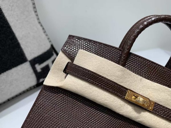 Hermès Birkin 20 Lizard Chocolate x Gold Hardware