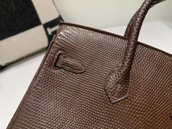 Hermès Birkin 25 Lizard Chocolate x Palladium Hardware