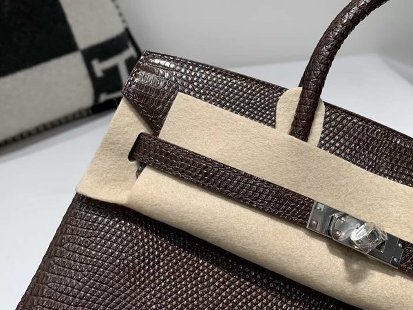 Hermès Birkin 25 Lizard Chocolate x Palladium Hardware