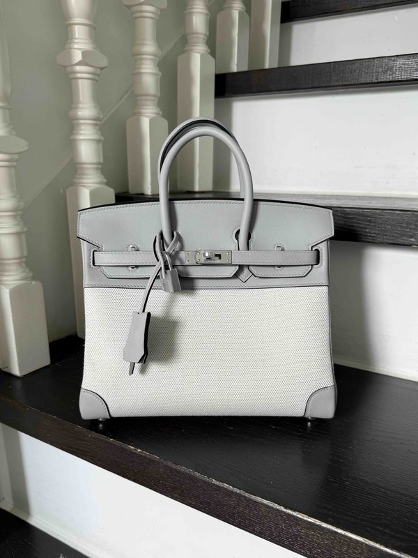 HERMÈS Birkin 25 Bleu Glacier (8U) Swift Toile H canvas Palladium hardware