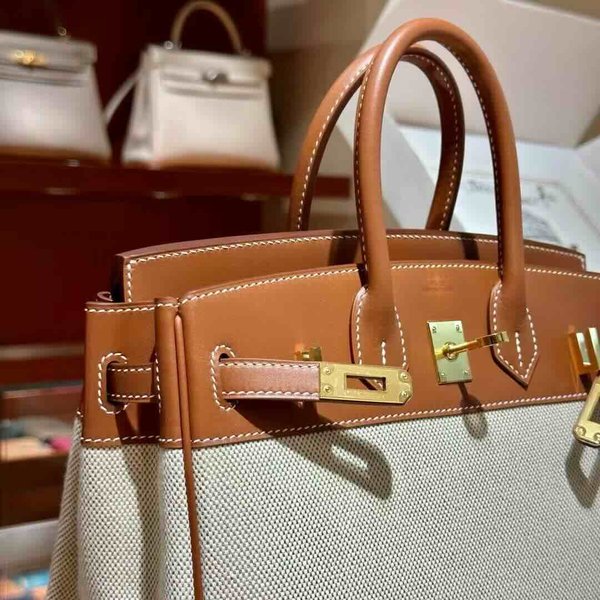 HERMÈS Birkin 30 Toile H canvas Swift Palladium hardware